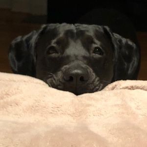 Meet your Posher, Ben